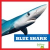 Blue Shark