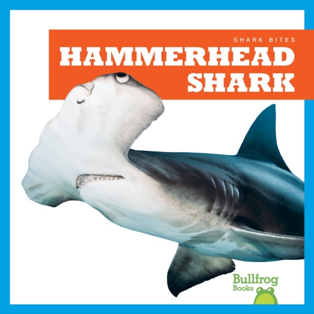 Hammerhead Shark