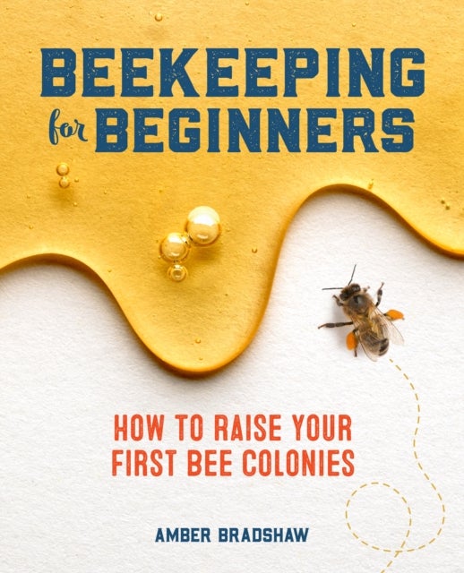 Beekeeping for Beginners - How To Raise Your First Bee Colonies