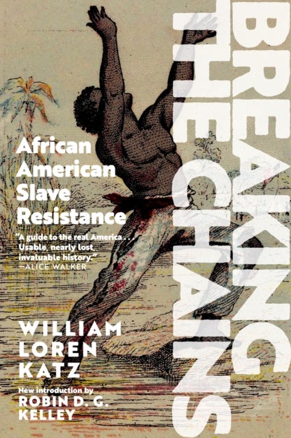 Breaking the Chains - African-American Slave Resistance