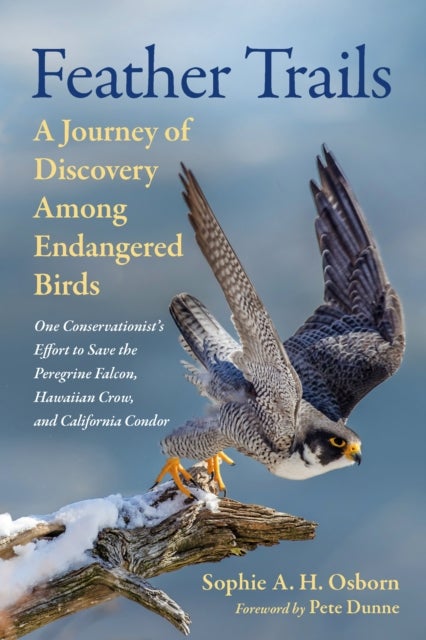 Feather Trails - A Journey of Discovery Among Endangered Birds