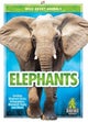 Elephants