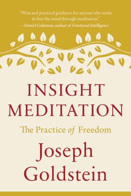 Insight Meditation - The Practice of Freedom