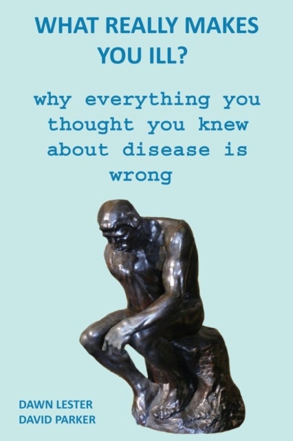 What Really Makes You Ill? - Why Everything You Thought You Knew About Disease Is Wrong