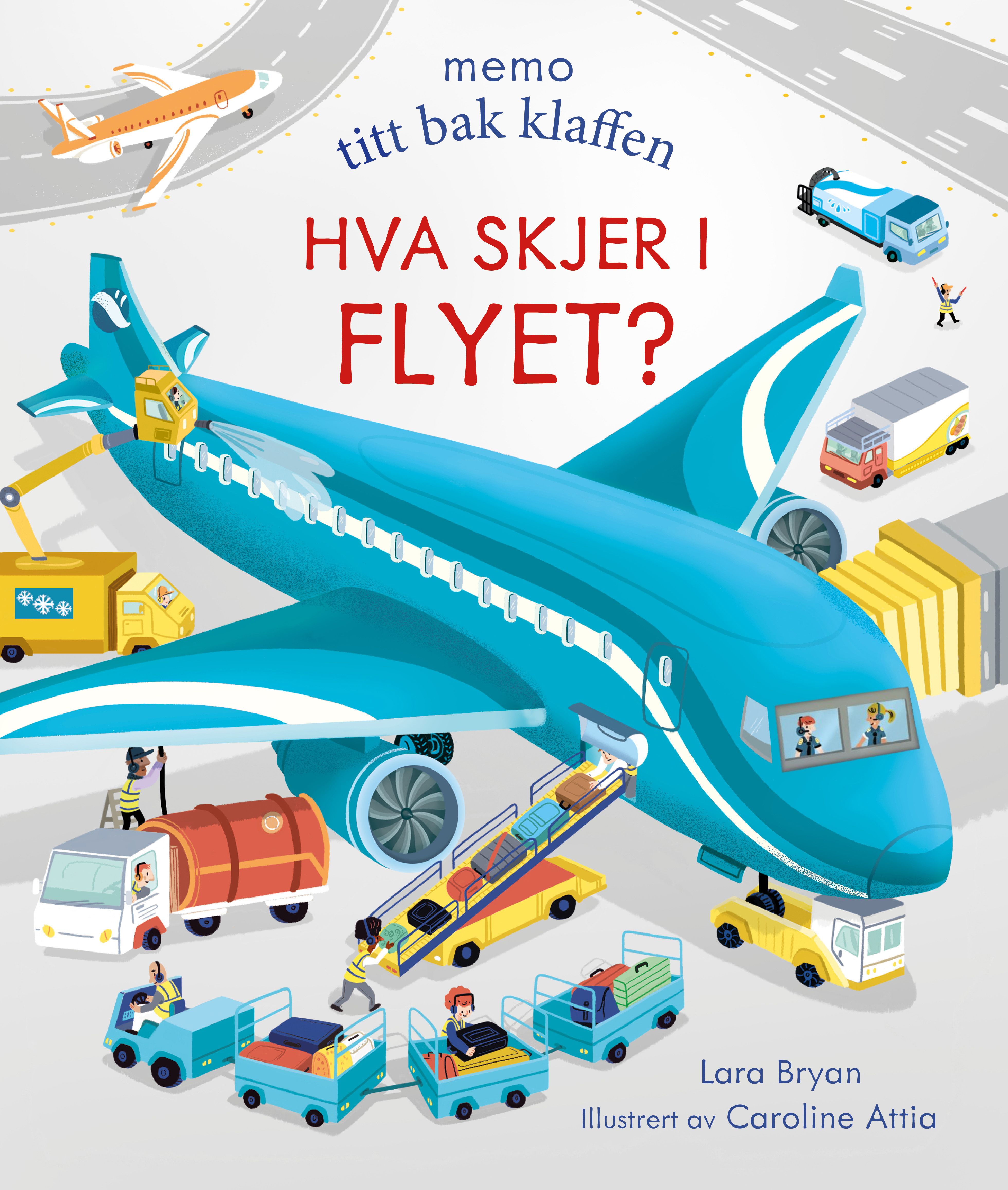 Hva skjer i flyet?