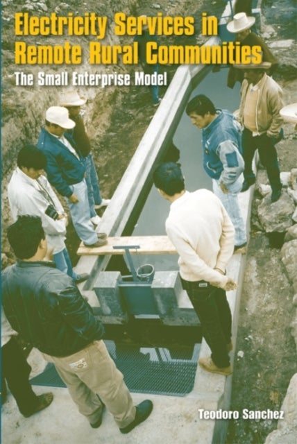Electricity Services in Remote Rural Communities - The Small Enterprise Model