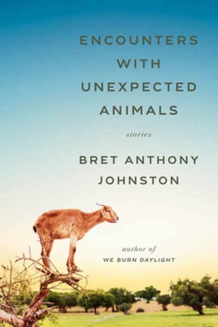 Encounters with Unexpected Animals - Stories