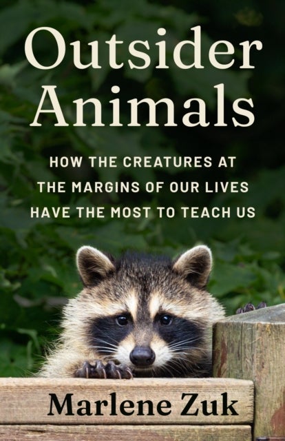 Outsider Animals – How the Creatures at the Margins of Our Lives Have the Most to Teach Us - How the Creatures at the Margins of Our Lives Have the Most to Teach Us