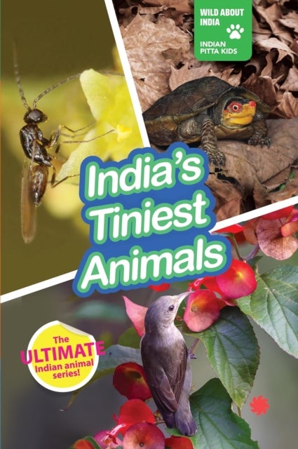 India''s Tiniest Animals