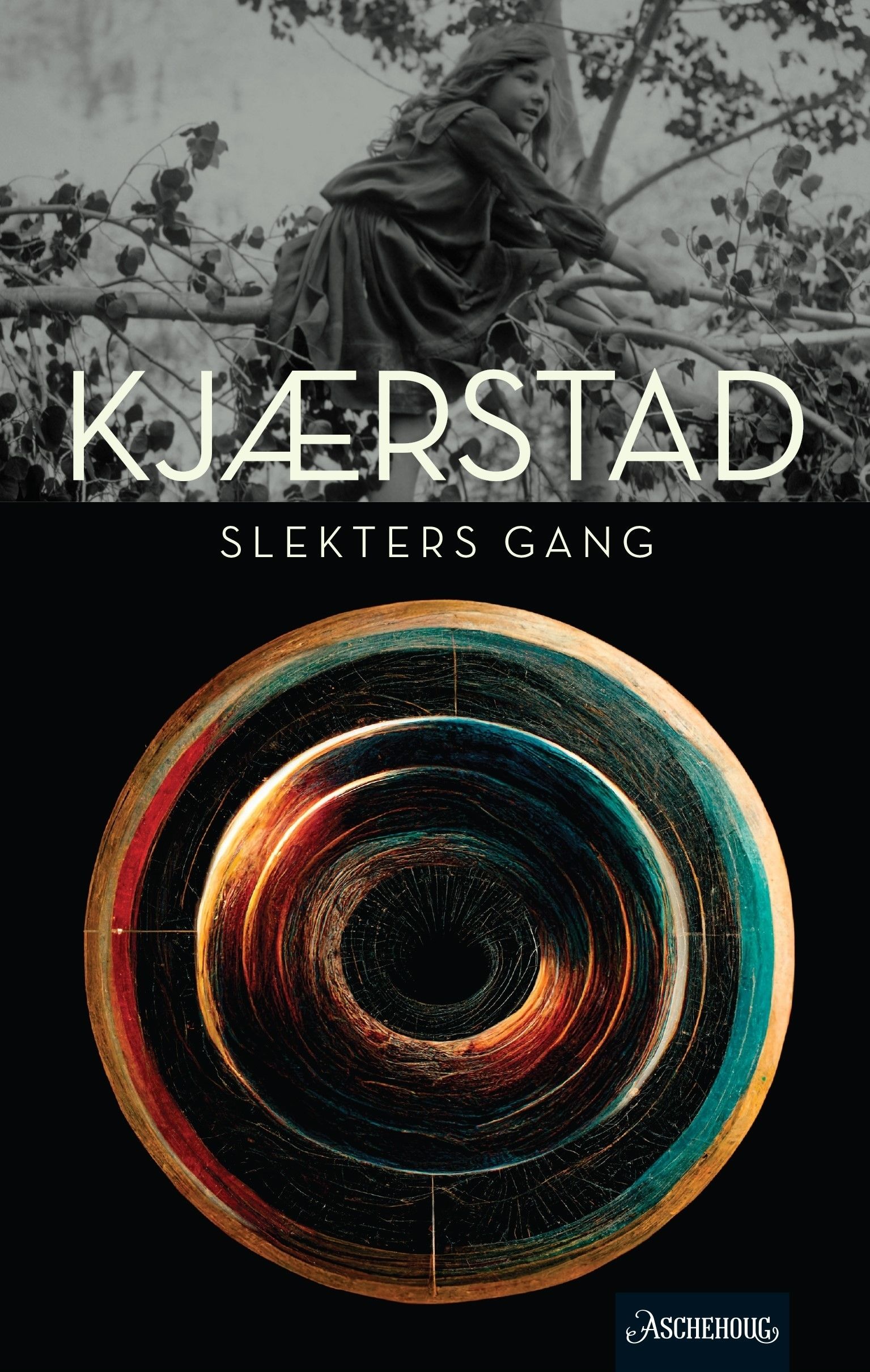 Slekters gang - fortellinger fra et glemt land : roman