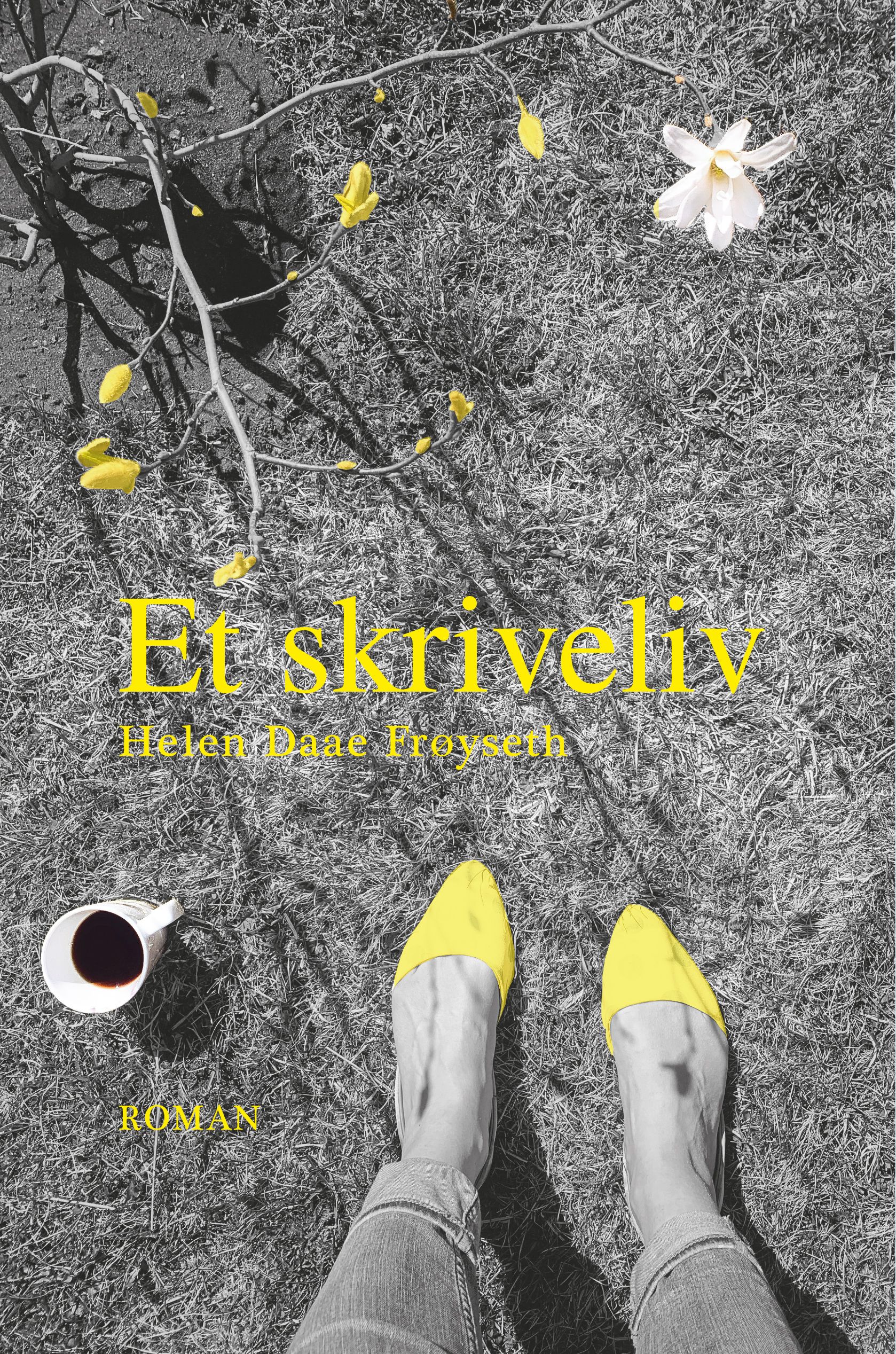 Et skriveliv - roman