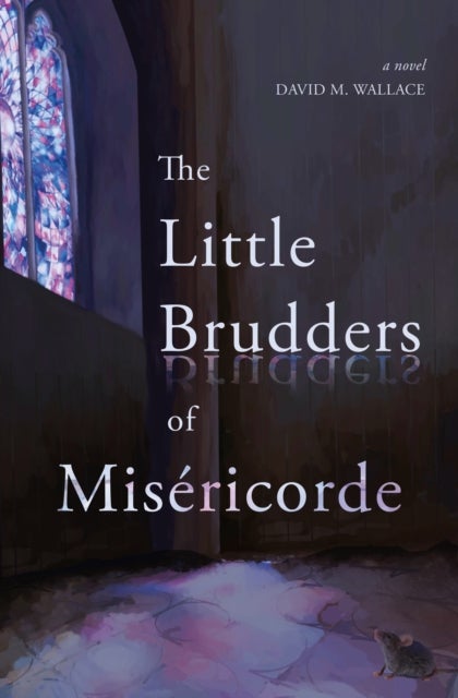 The Little Brudders of Miséricorde - A Novel