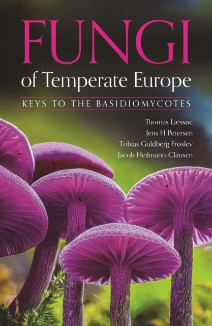 Fungi of Temperate Europe - Keys to the Basidiomycotes