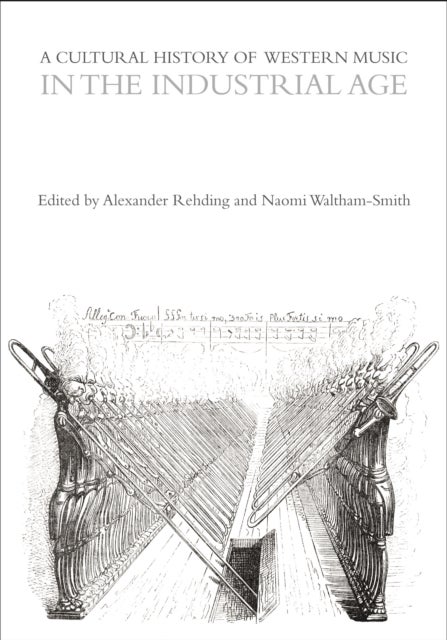 A Cultural History of Western Music in the Industrial Age