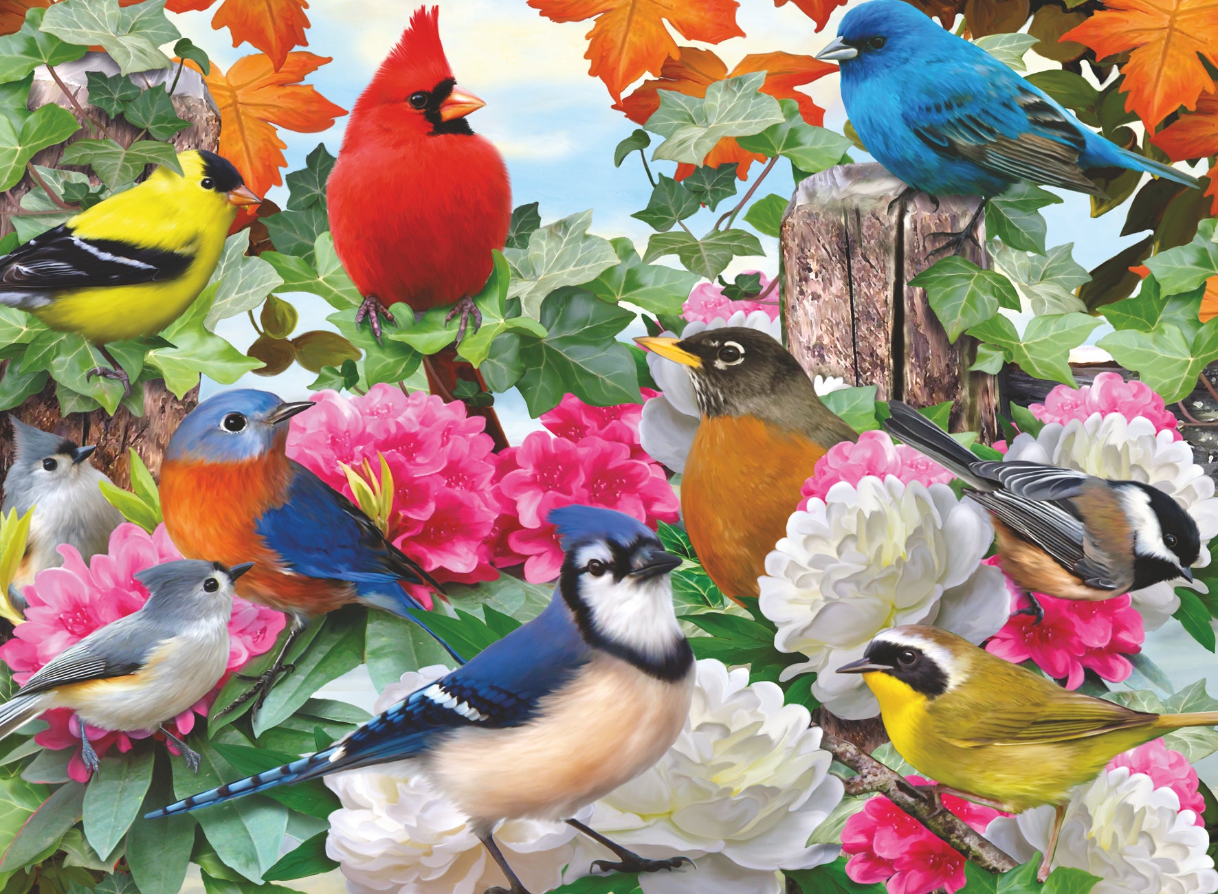 Puslespill 500 Hagefugler Ravensburger