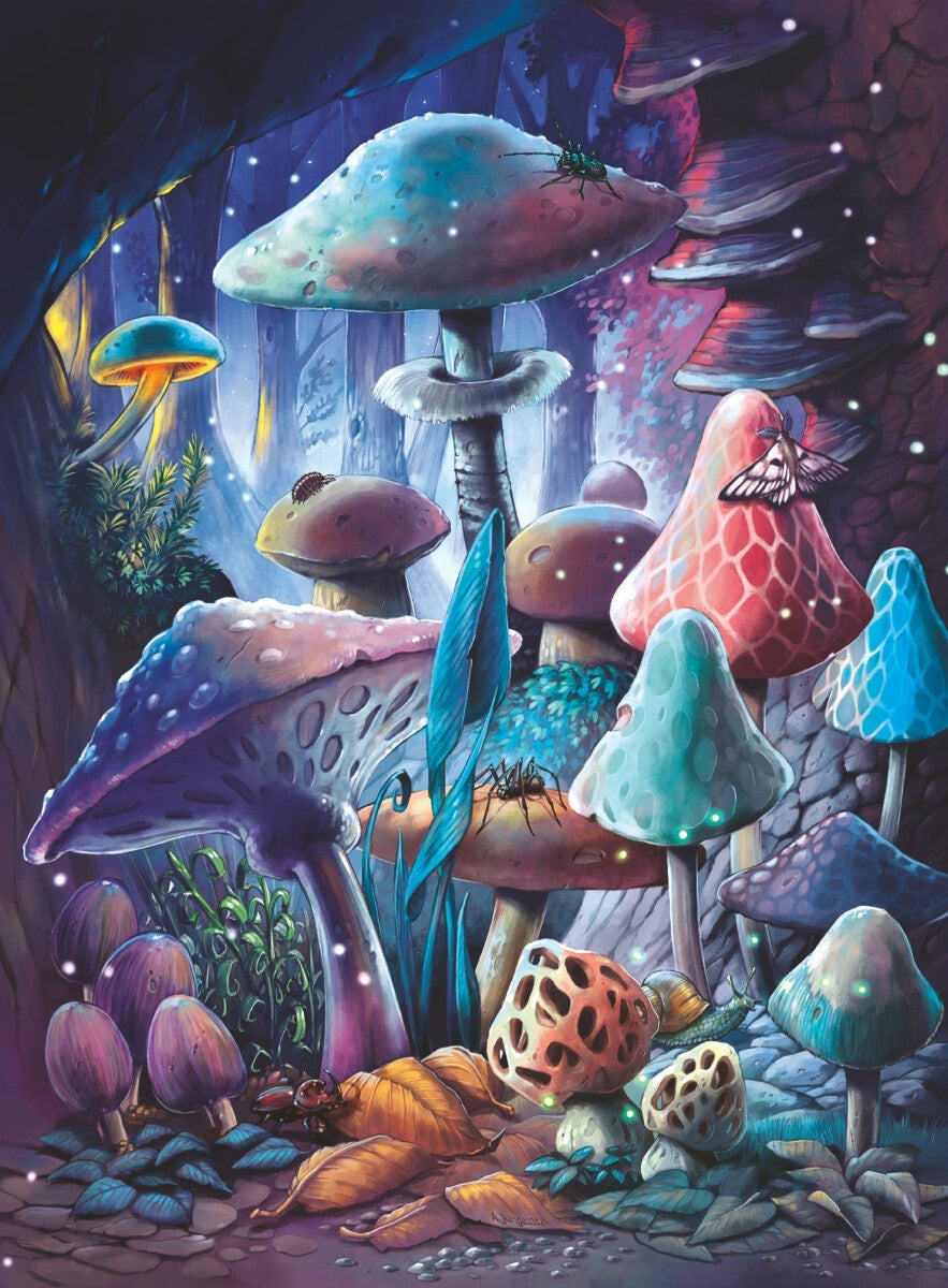 Puslespill 500 Sopp i Måneskinn Ravensburger