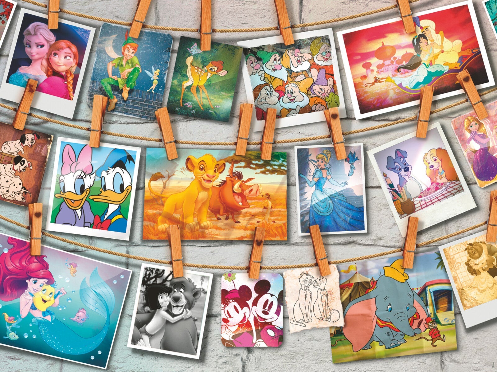 Puslespill 1500 WD Fotografier Ravensburger
