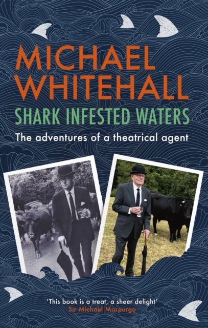 Shark-Infested Waters