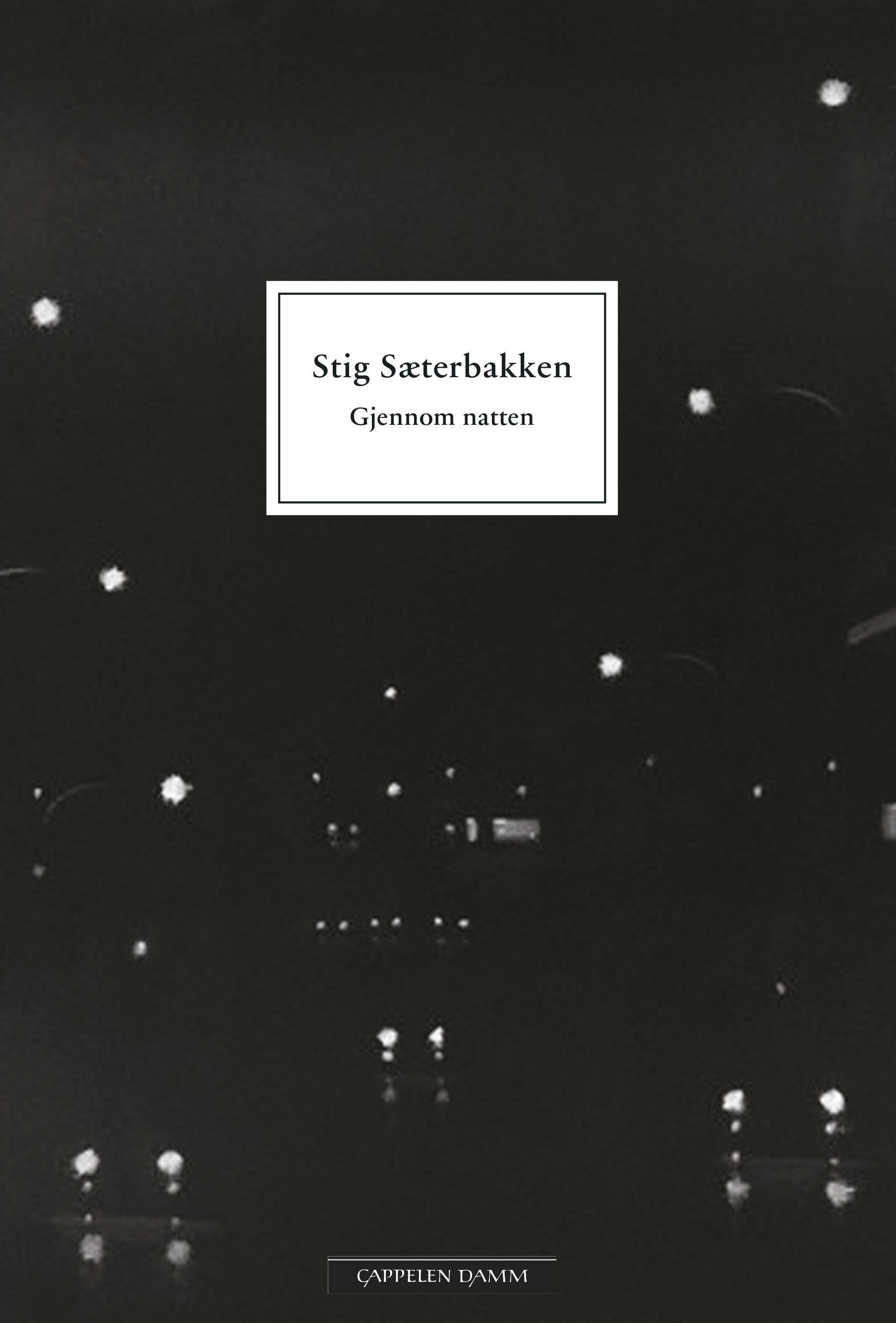 Gjennom natten - roman