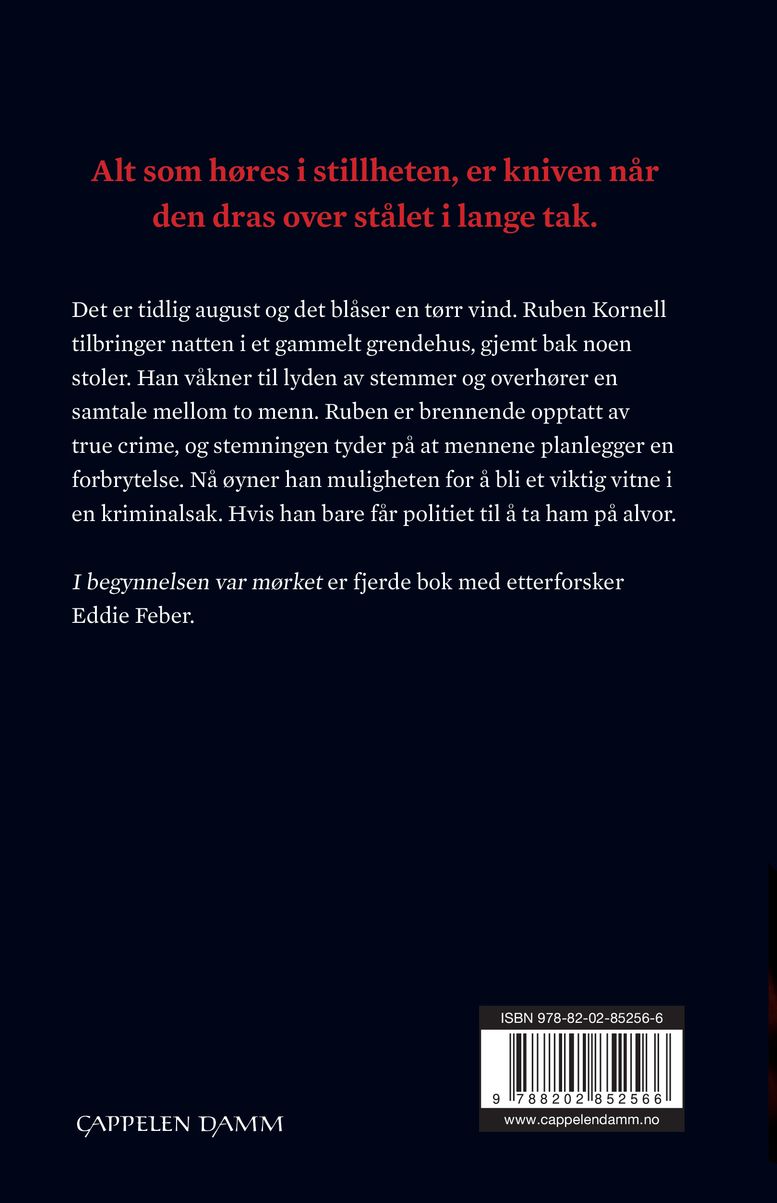 I begynnelsen var mørket