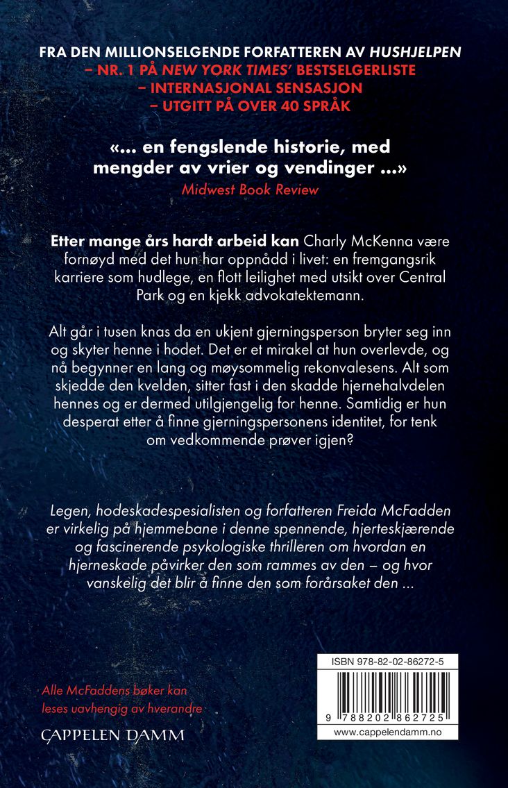 Det øyet ser
