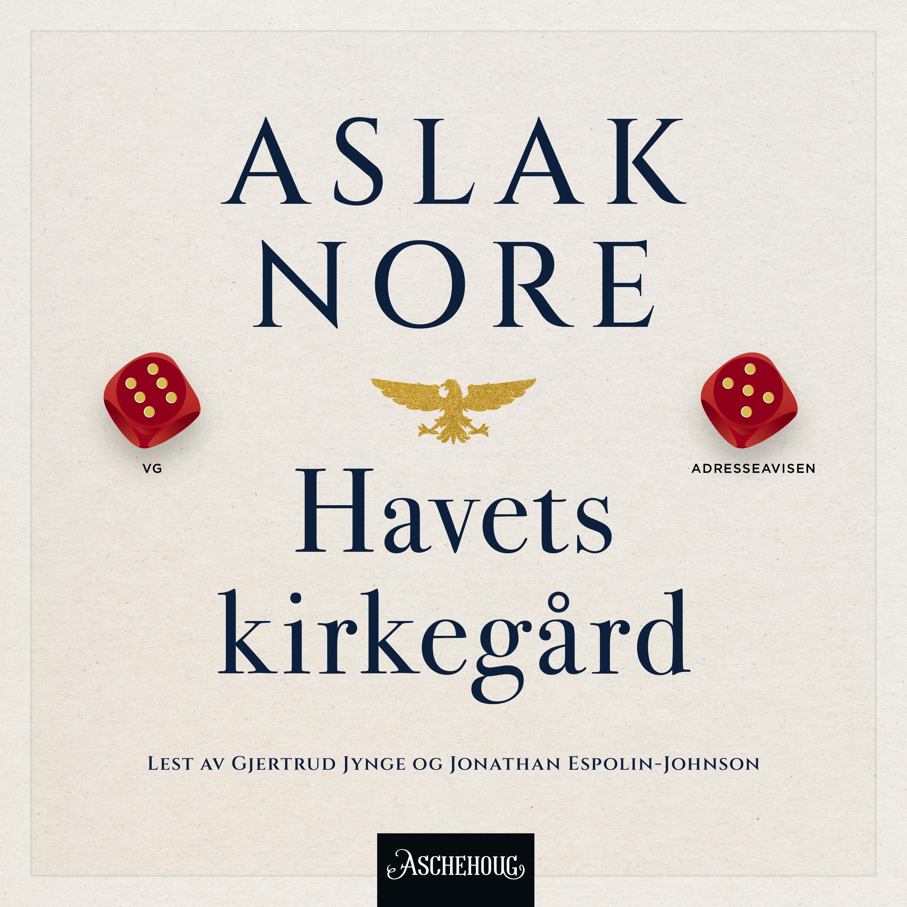Havets kirkegård - roman