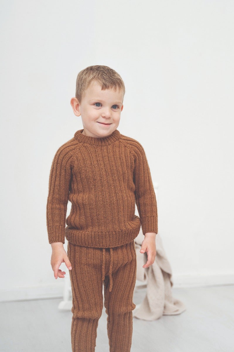 Minijord