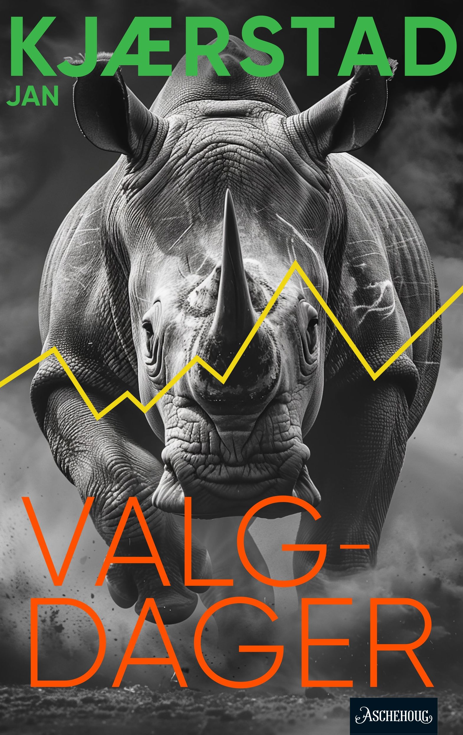 Valgdager - roman