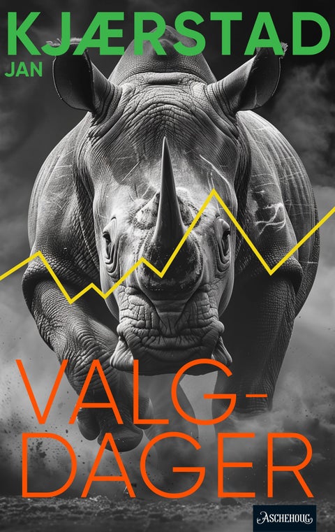 Valgdager - roman