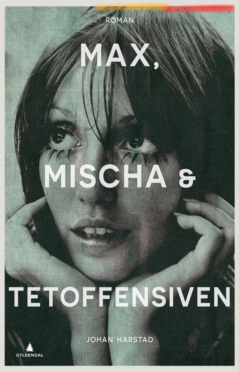 Max, Mischa & Tetoffensiven - roman