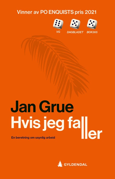 Hvis jeg faller - en beretning om usynlig arbeid
