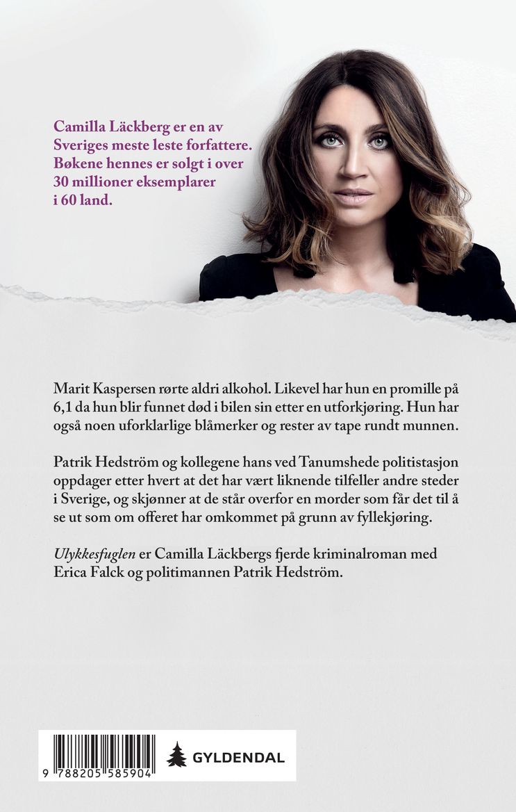 Ulykkesfuglen