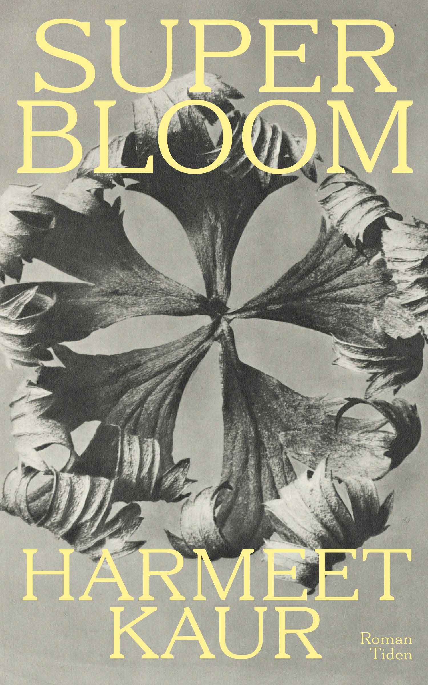Superbloom