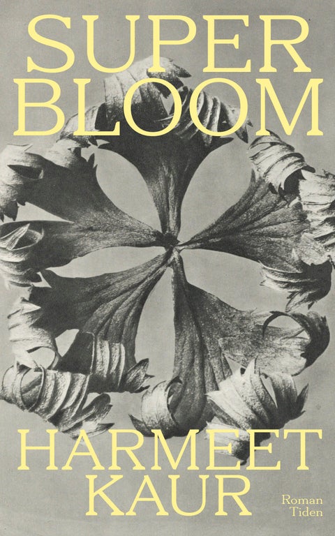 Superbloom