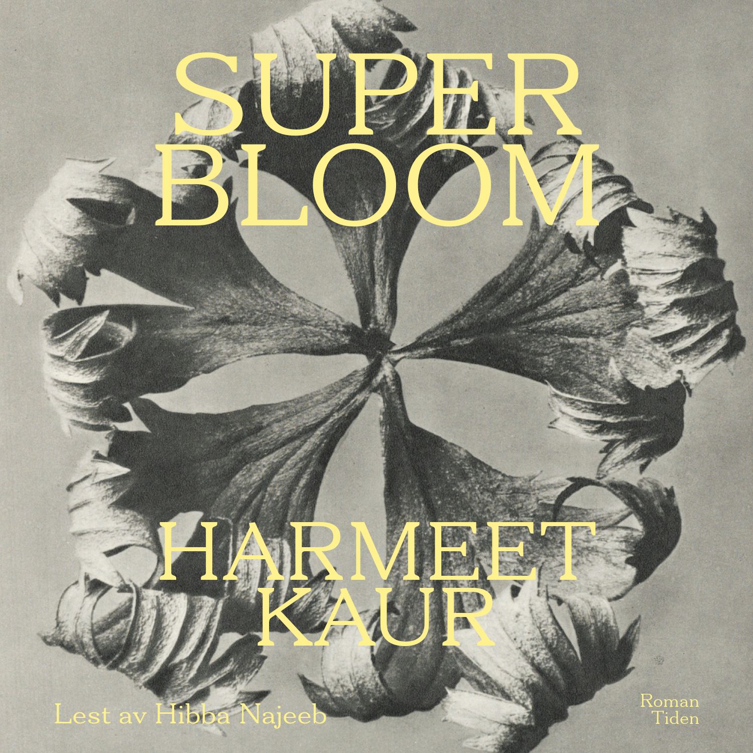Superbloom