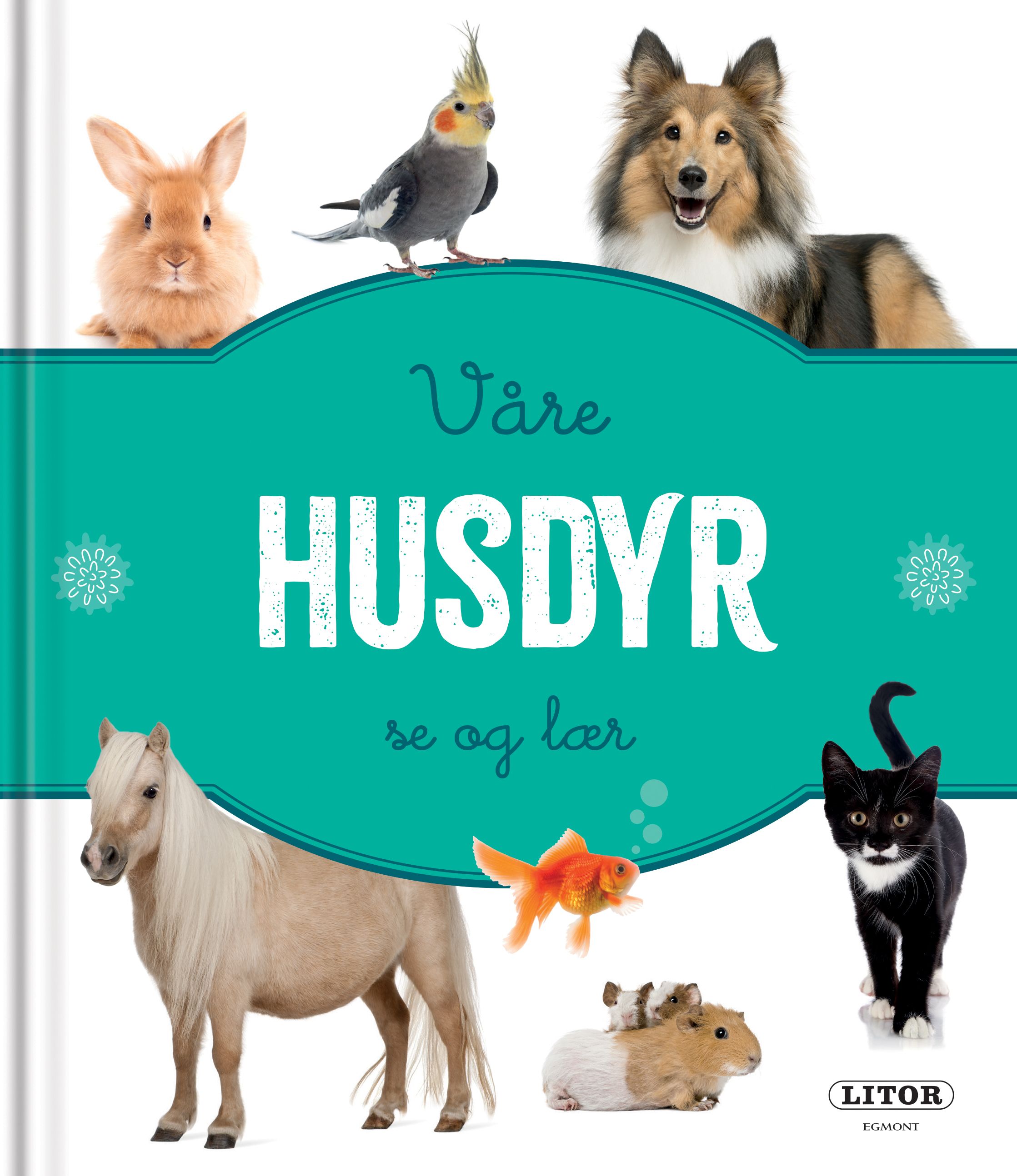 Våre husdyr