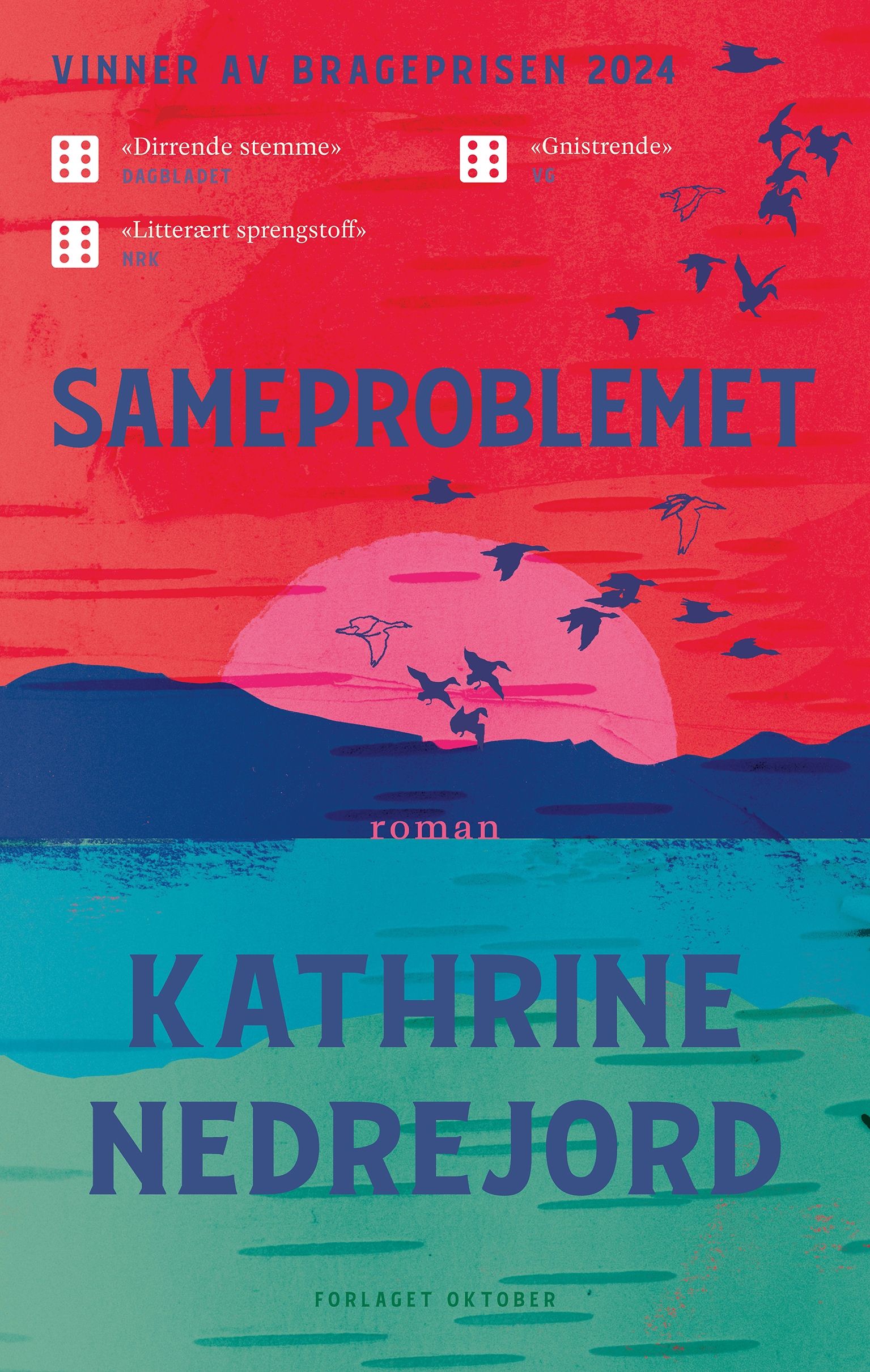 Sameproblemet - roman