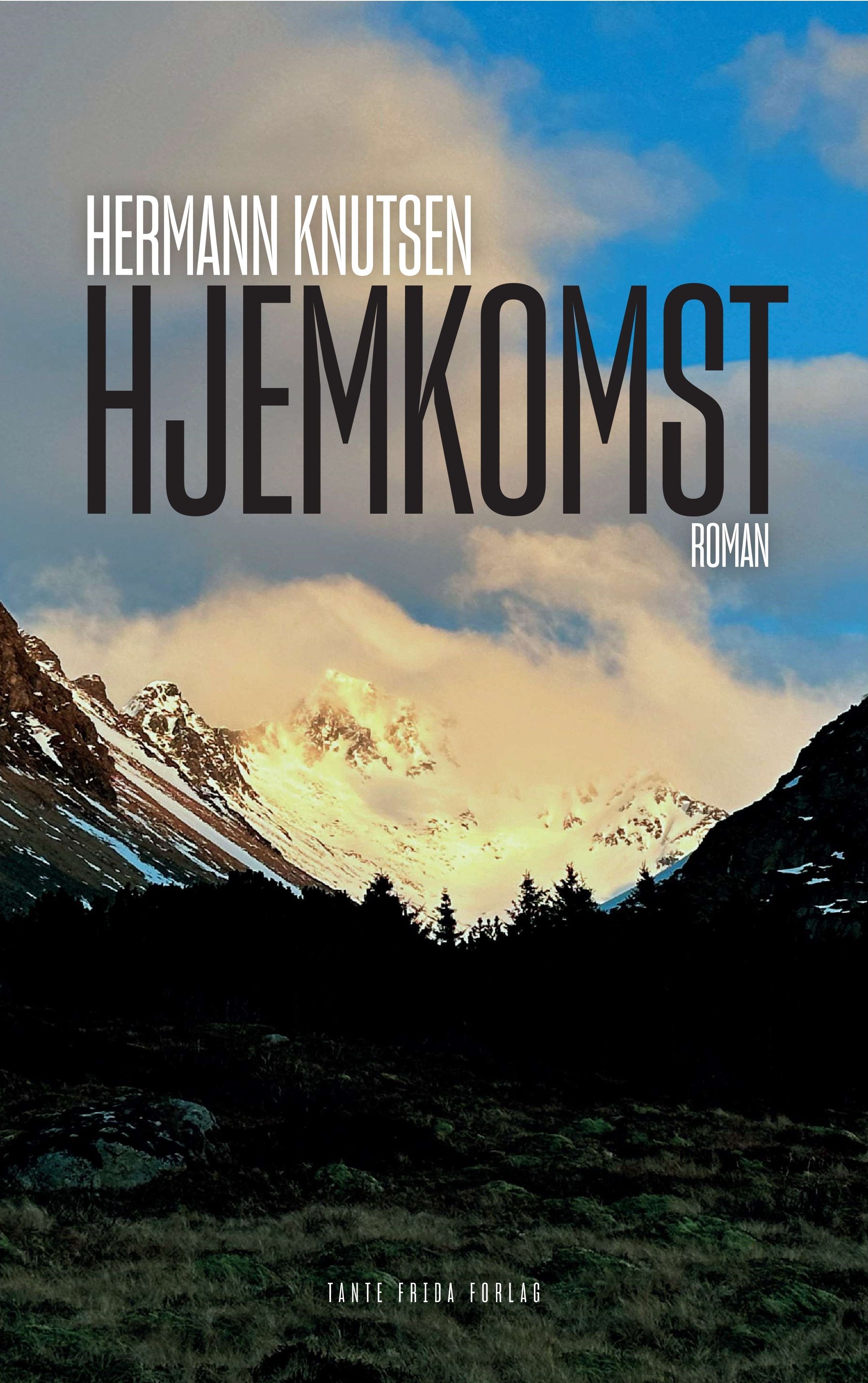 Hjemkomst - roman