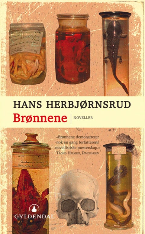 Brønnene - noveller