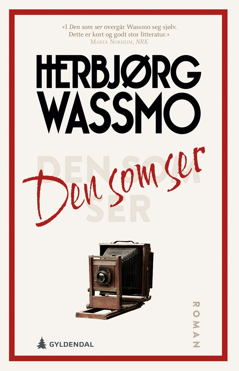 Den som ser - roman