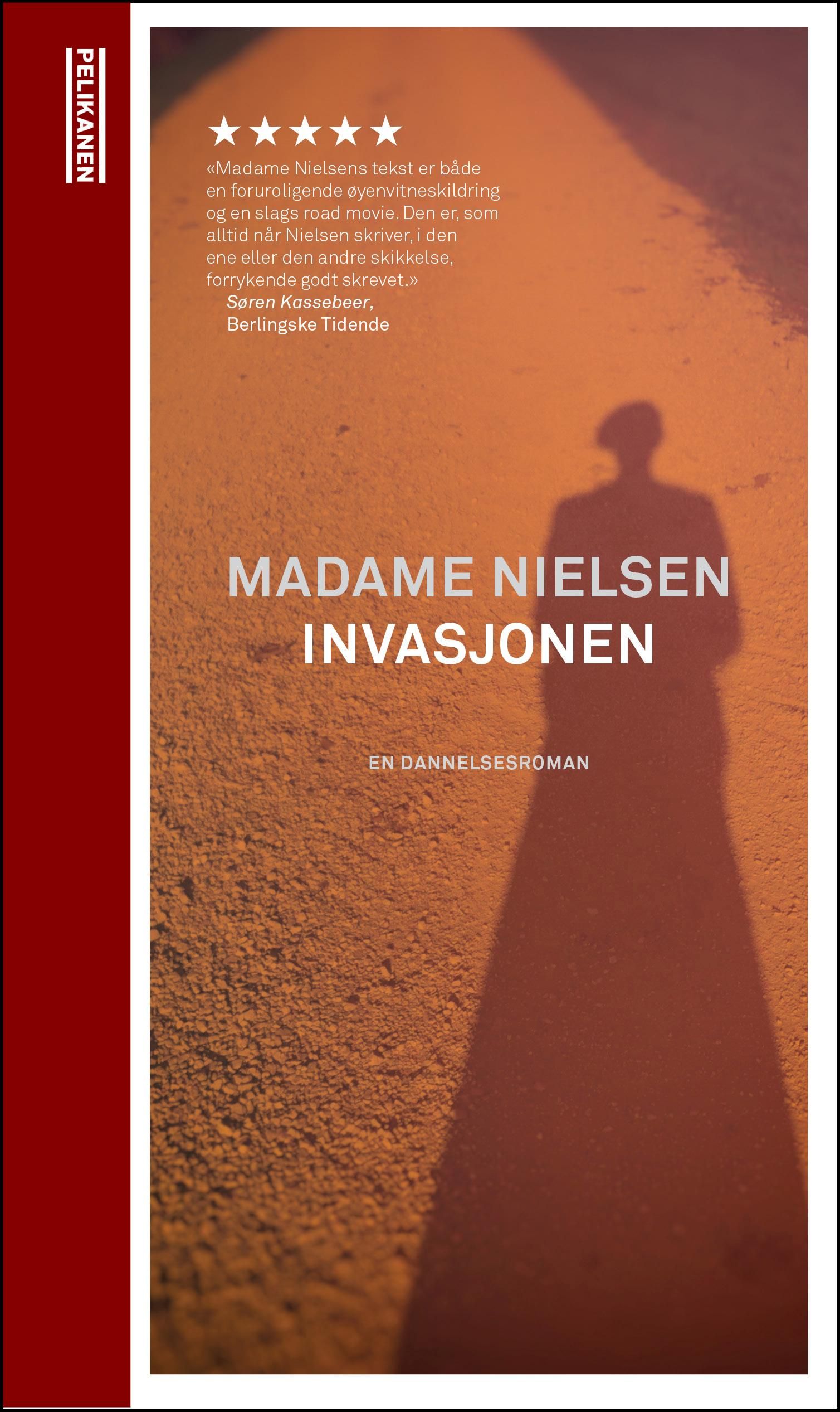 Invasjonen - en fremmed i flyktningstrømmen : dannelsesroman