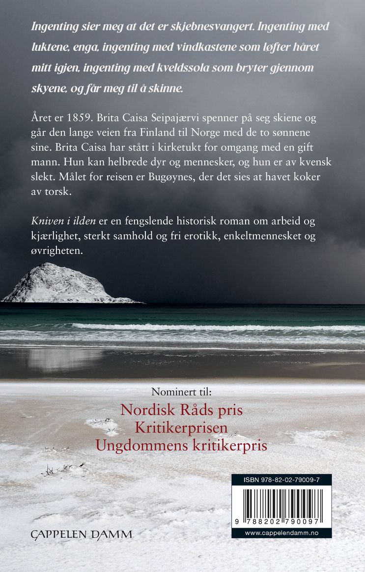 Kniven i ilden