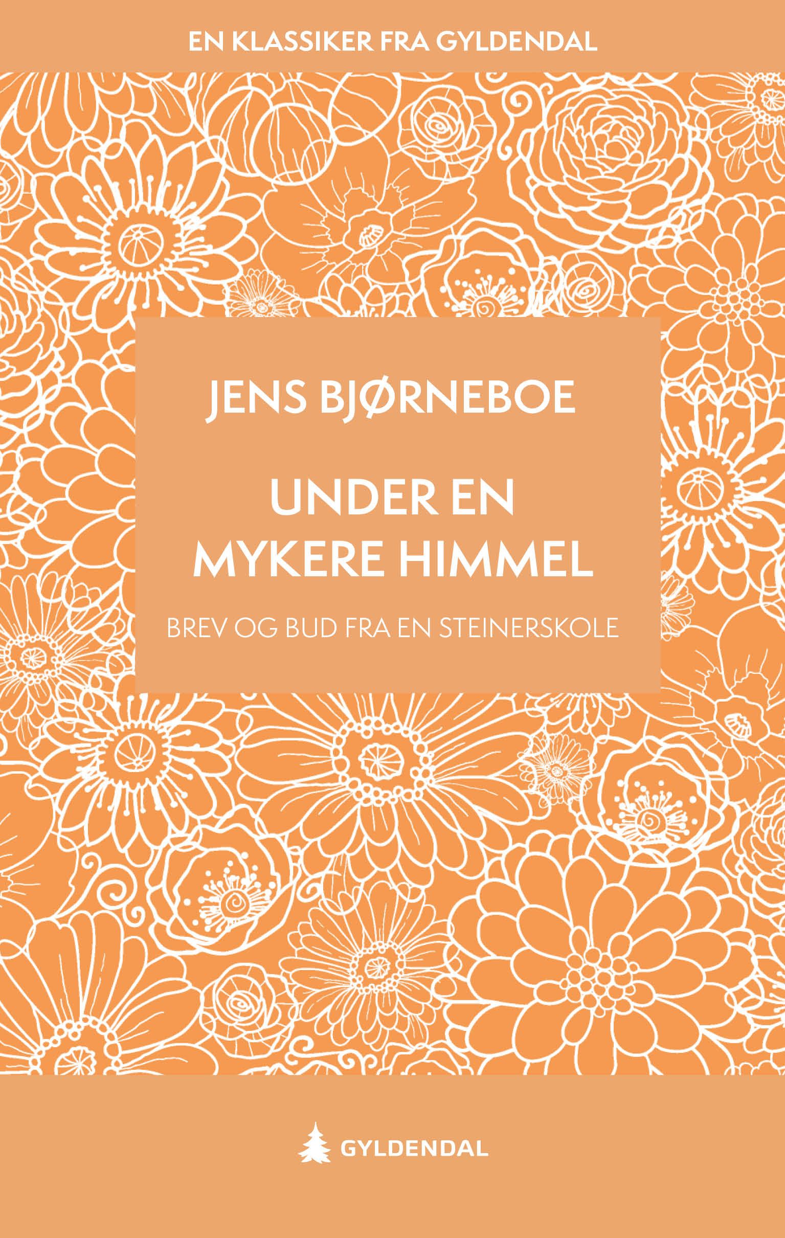 Under en mykere himmel - brev og bud fra en Steinerskole