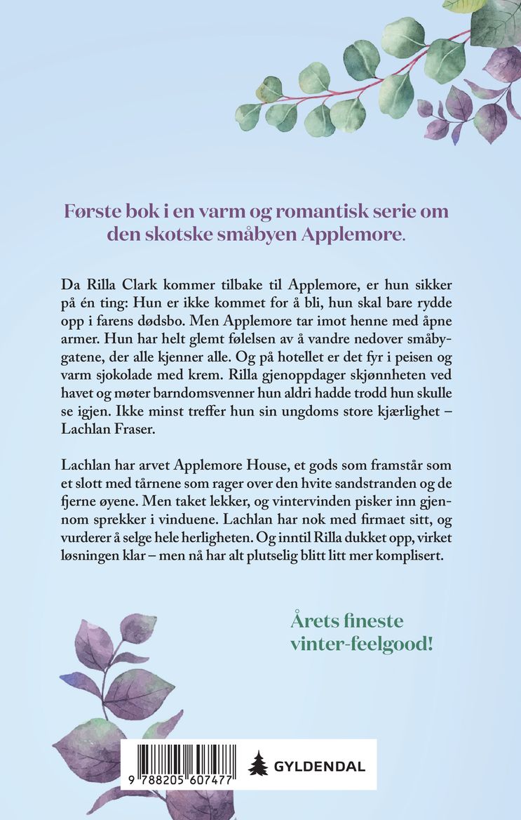 Vinter i Applemore