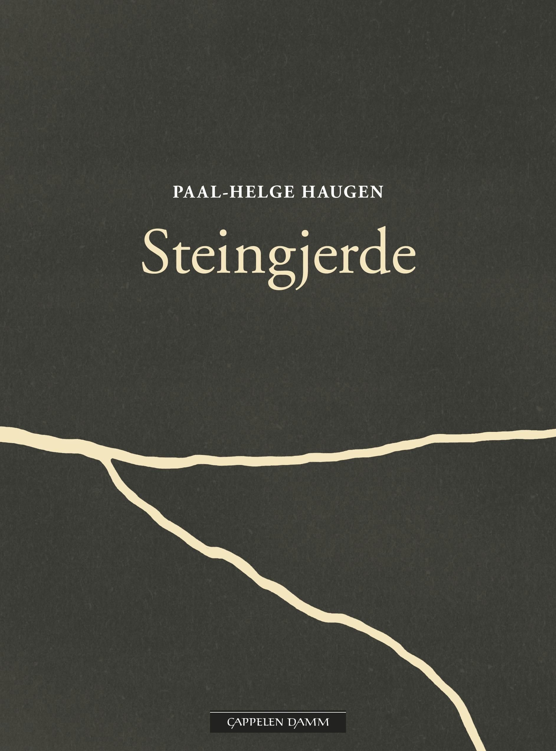 Steingjerde - ein diktroman