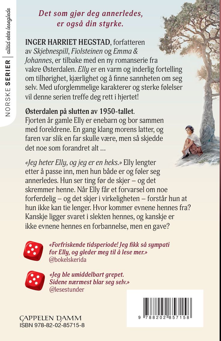 Bare en drøm