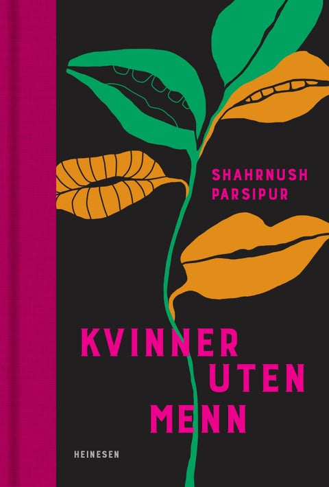 Kvinner uten menn - roman
