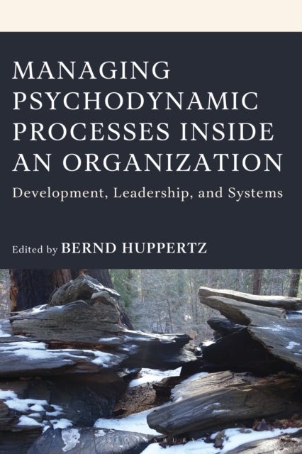 Managing Psychodynamic Processes Inside an Organization - Development, Leadership, and Systems