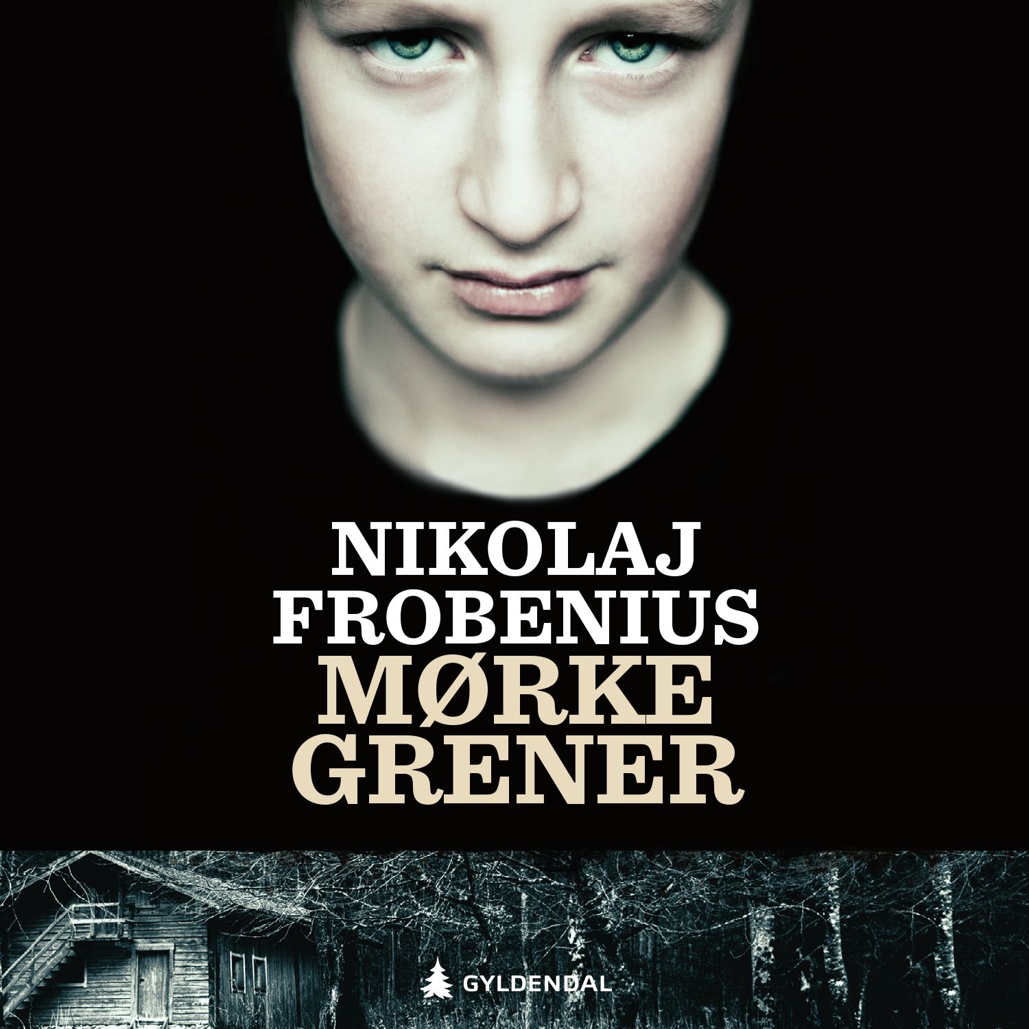 Mørke grener - roman