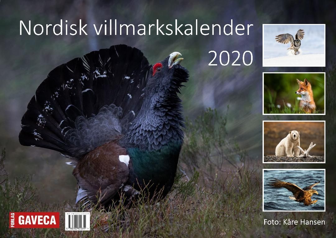Nordisk villmarkskalender 2020